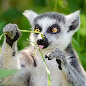 Meet your Posher, Richard